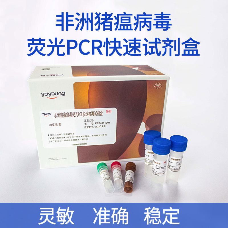 非洲豬瘟PCR試劑盒